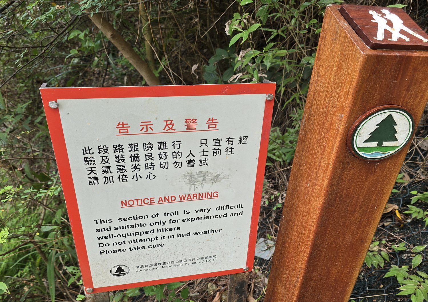 明知此徑難,偏向難處闖