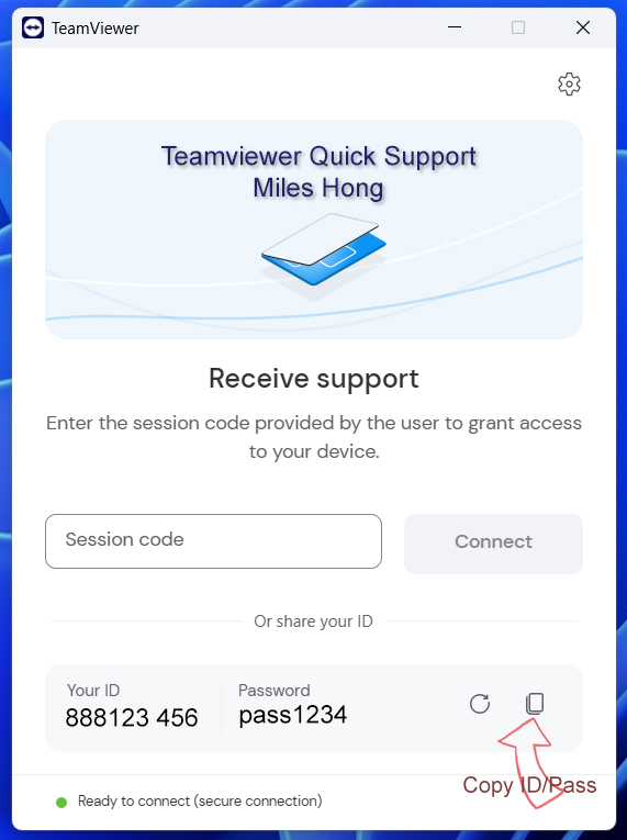 TeamViewerQS